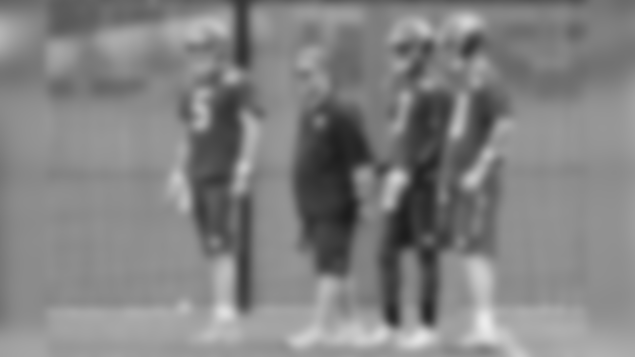Frank Cignetti Jr., Quarterbacks
