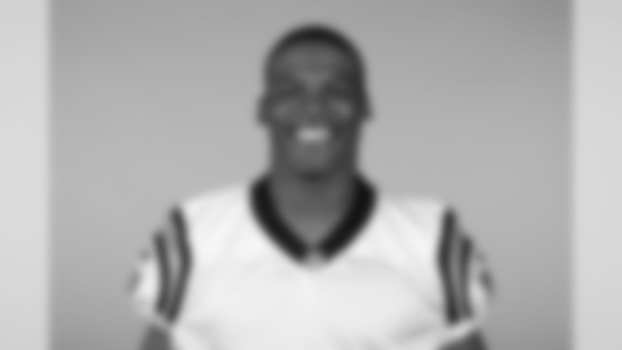 Cam Newton (2015)