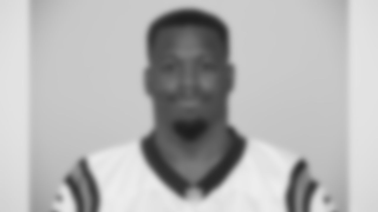 Jonathan Stewart (2017)