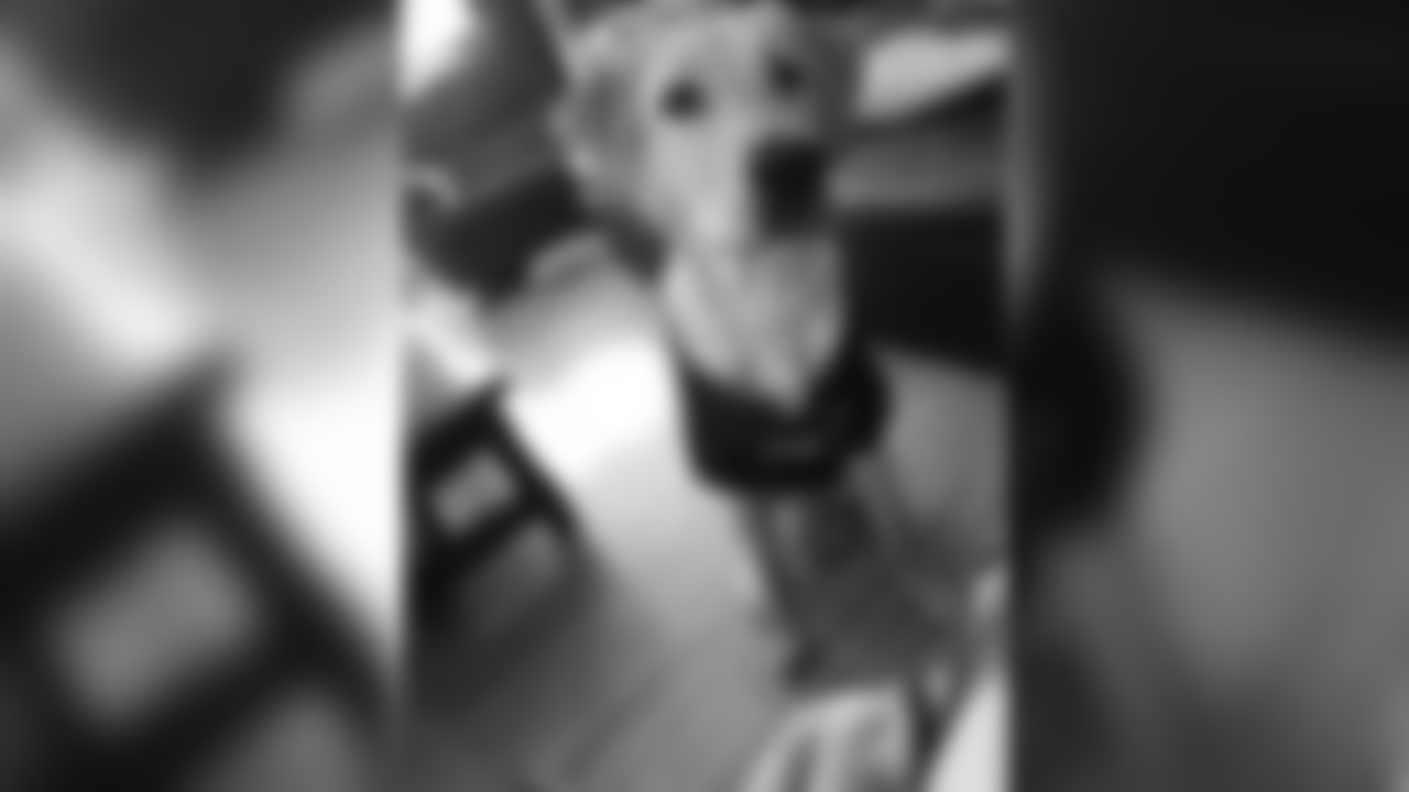 53270_8_310326071.jpg