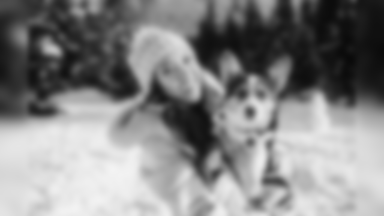 20171212_seagal_wintershoot_janegphoto-163.jpg