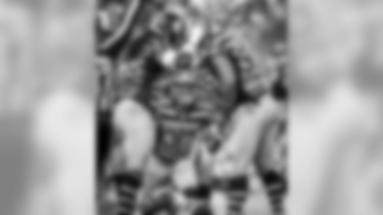 Jarvis Jones, Jordan Dangerfield and Stephon Tuitt