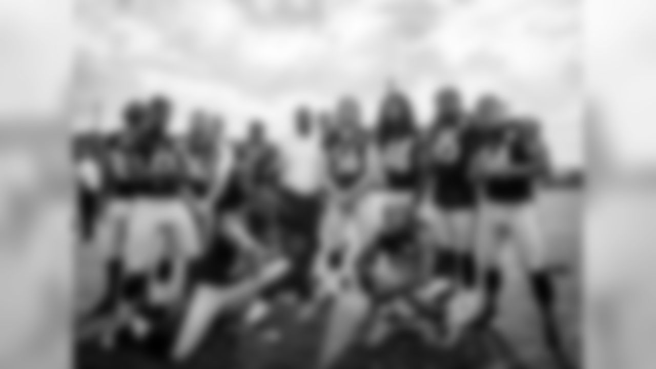 Vince Williams, Steven Johnson, Tyler Matakevich, Jerry Olsavsky, James Harrison, Arthur Moats, Lawrence Timmons, Joey Porter, Travis Feeney, Anthony Chickillo, Bud Dupree, Jarvis Jones, L.J. Fort, and Ryan Shazier