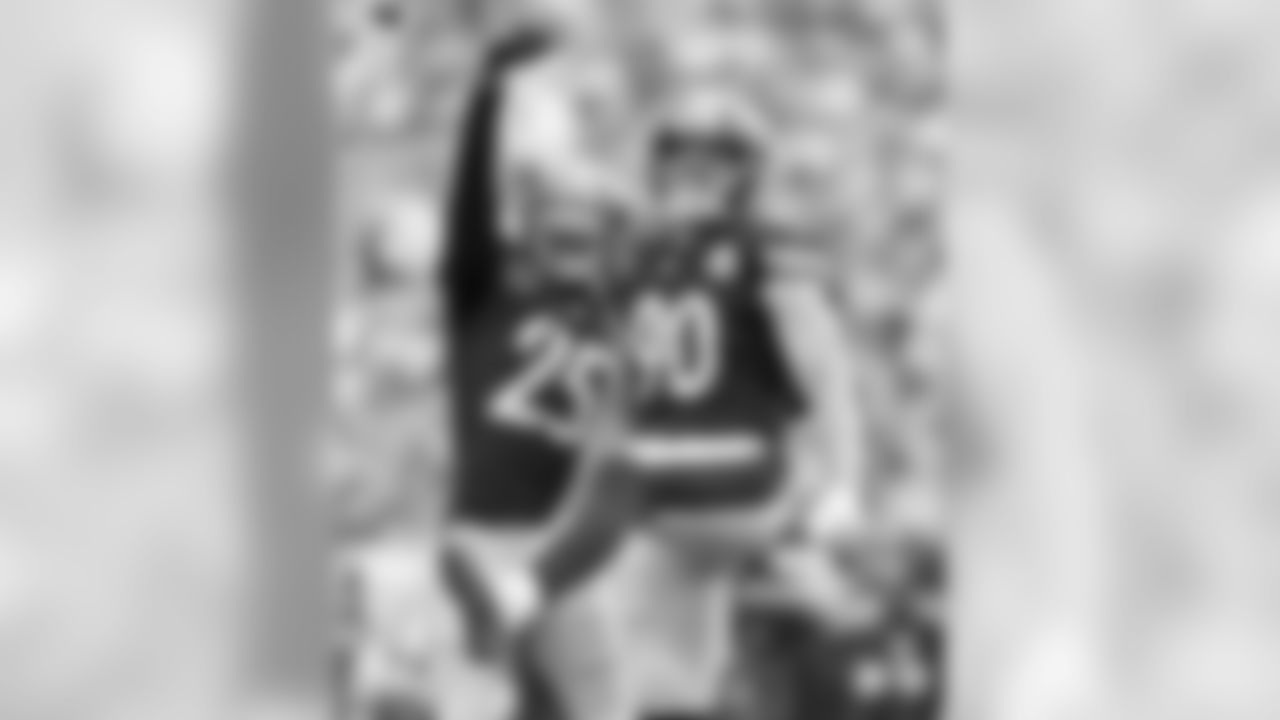 T.J. Watt