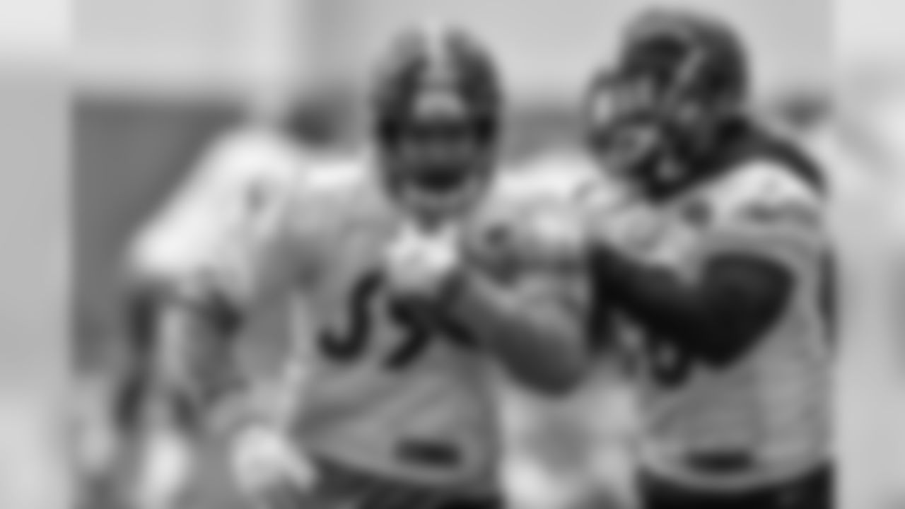 Terrell Watson and Stevan Ridley