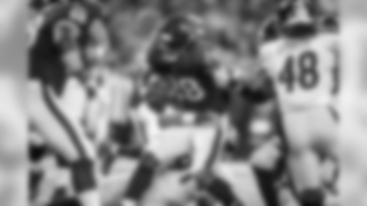 Stephon Tuitt