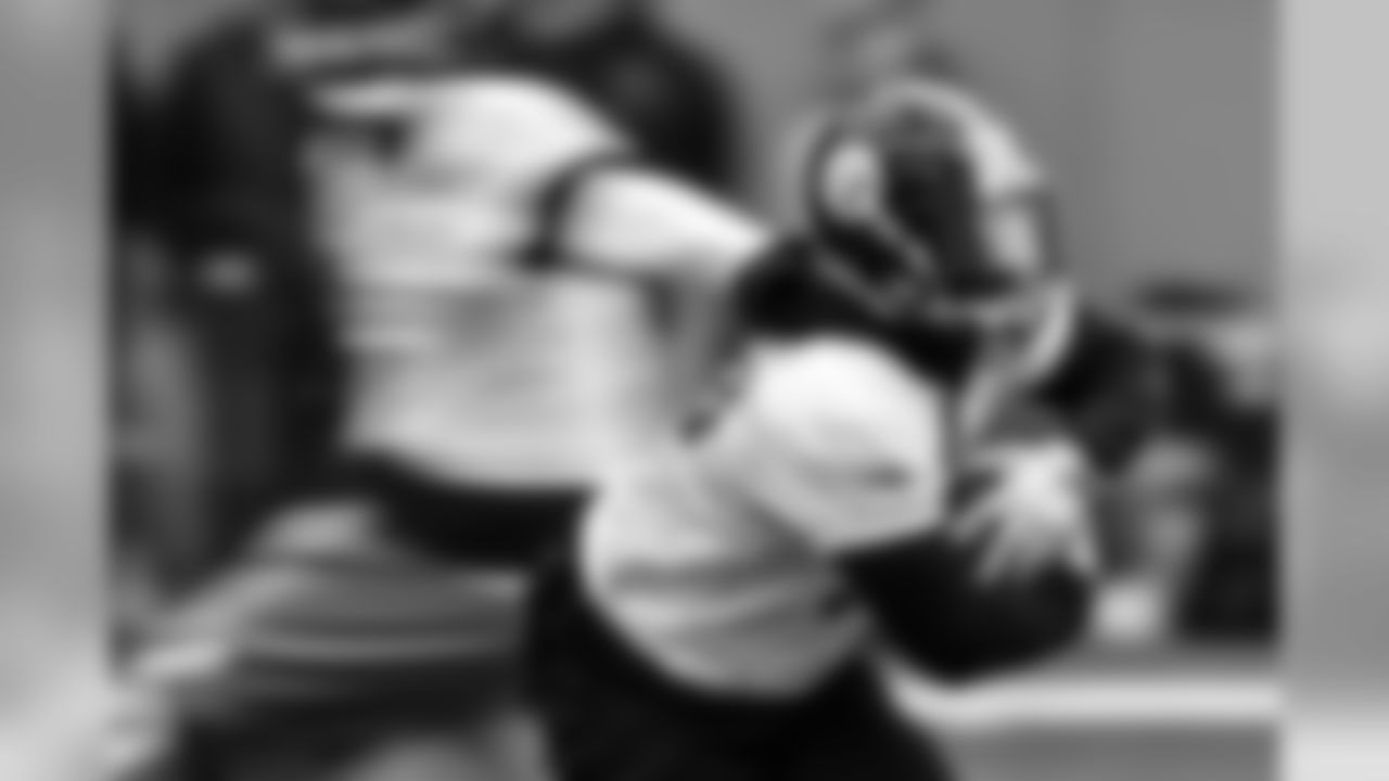 Stevan Ridley