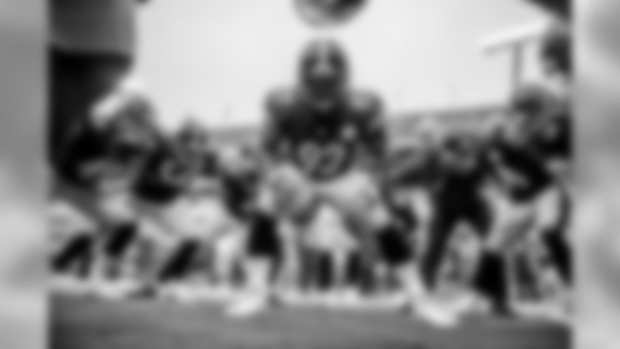 James Harrison and the linebackers