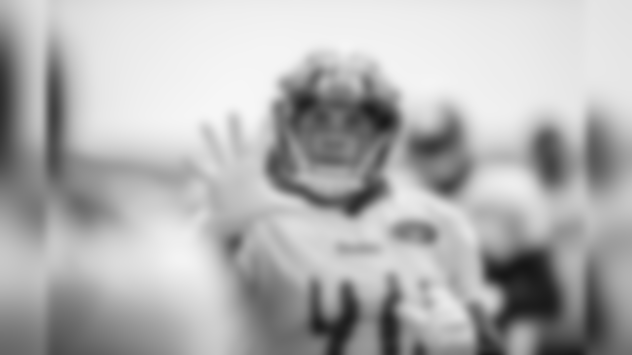 T.J. Watt