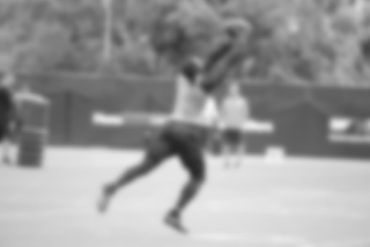 WR Pierre Garçon