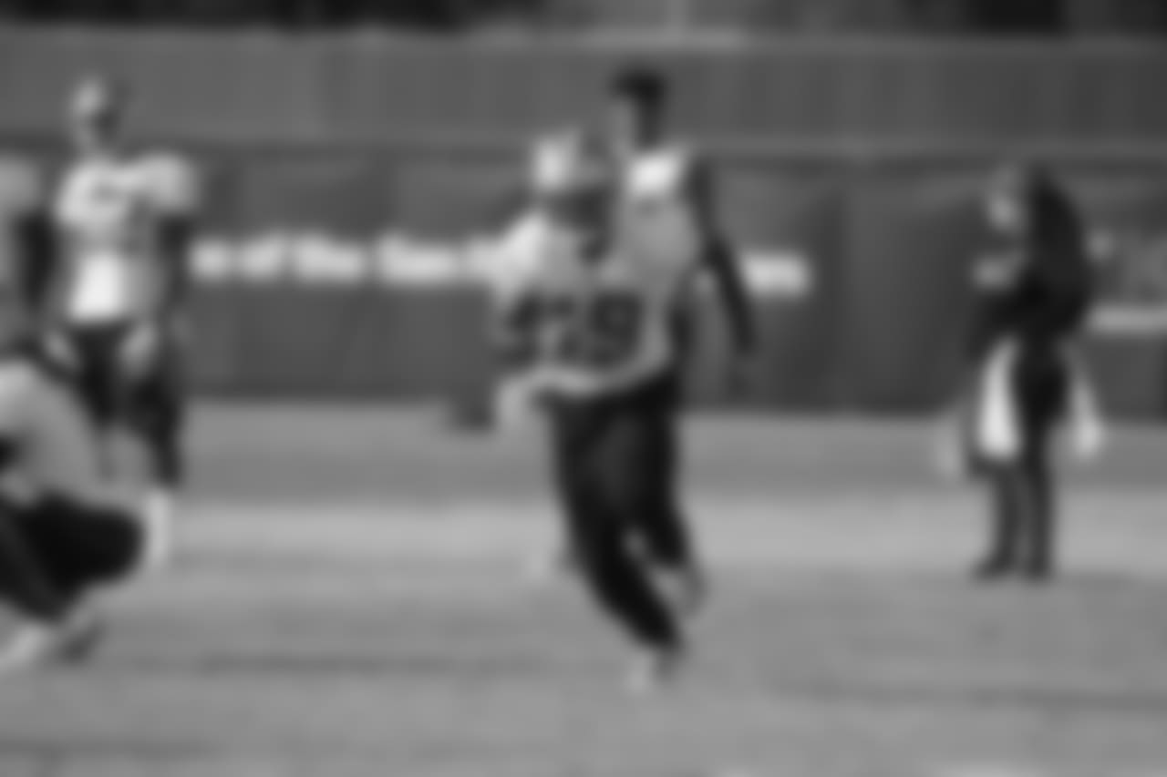 WR Aldrick Robinson