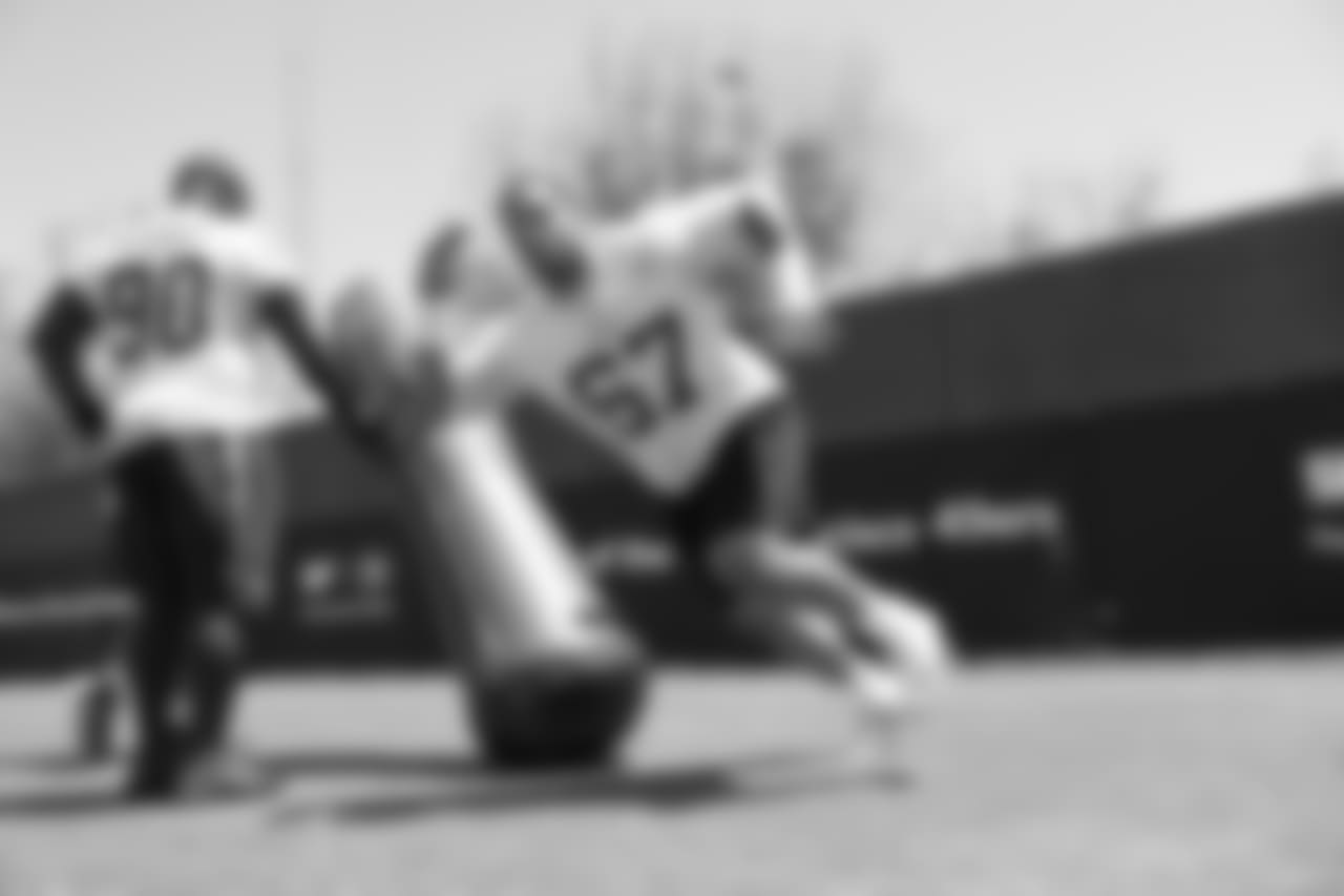 DL Niles Scott