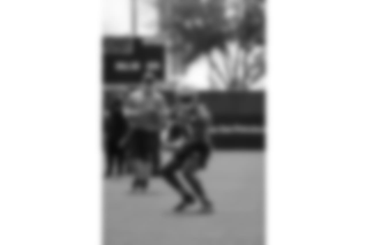 WR Marquise Goodwin