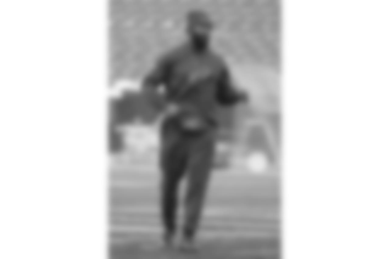 Joe Webb #14, QB