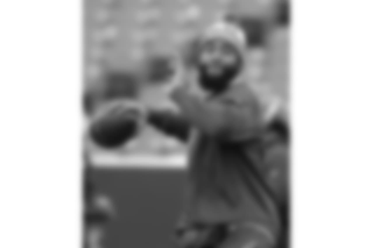 Joe Webb #14, QB