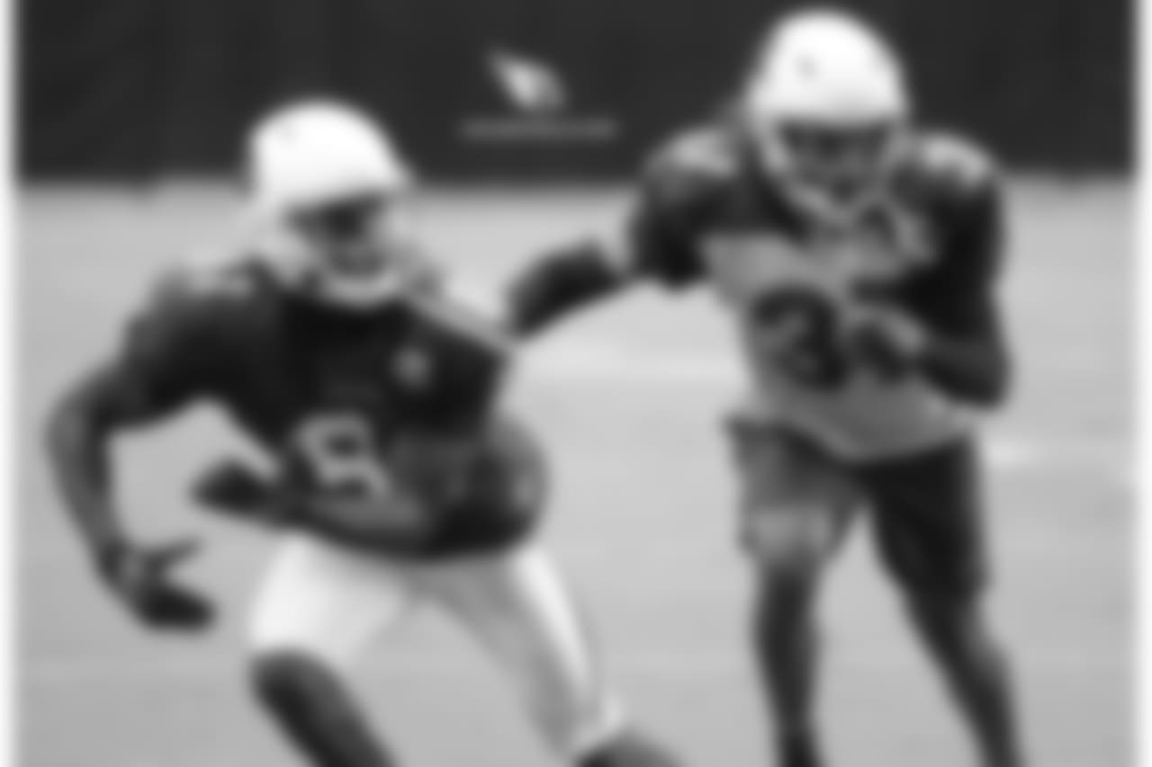Day 14: CB Tramon Williams (right) covers WR Chris Hubert