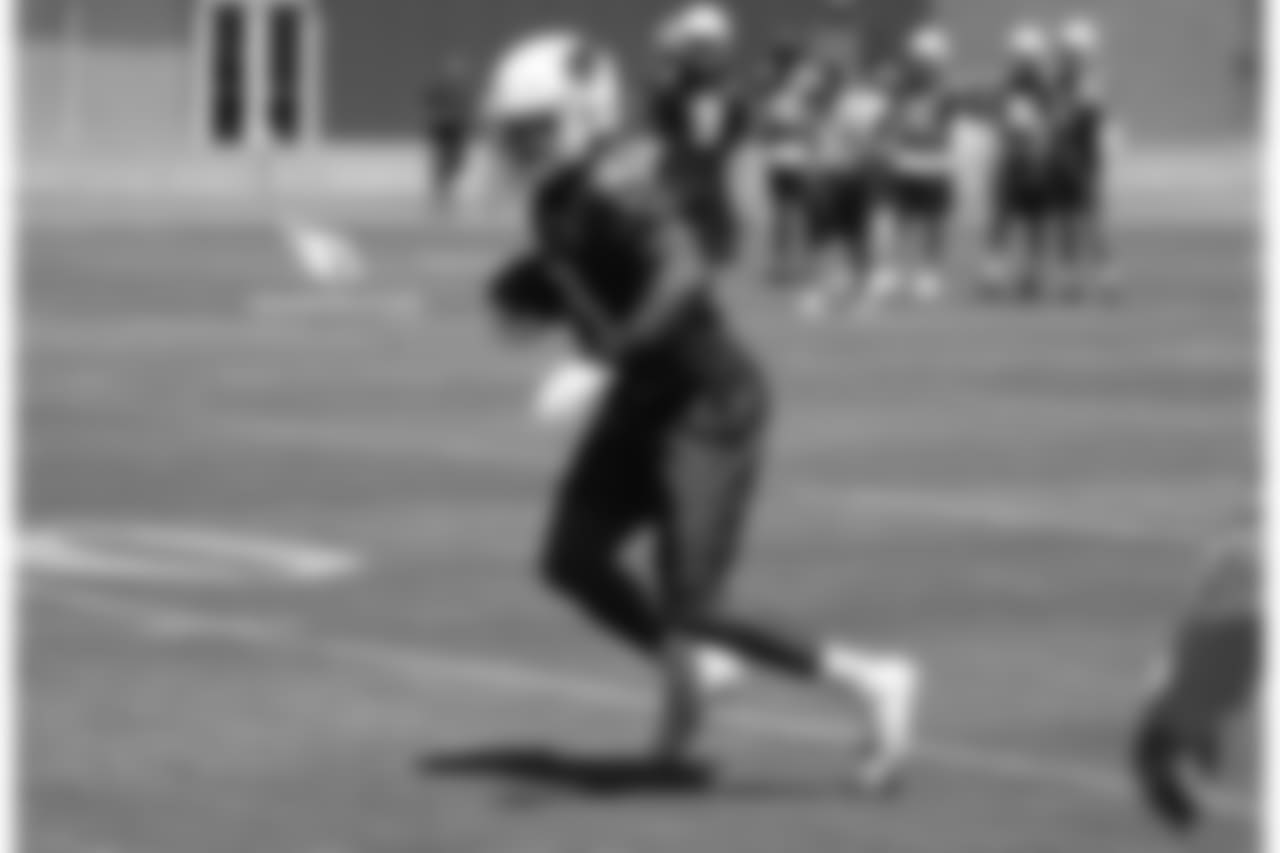 RB David Johnson