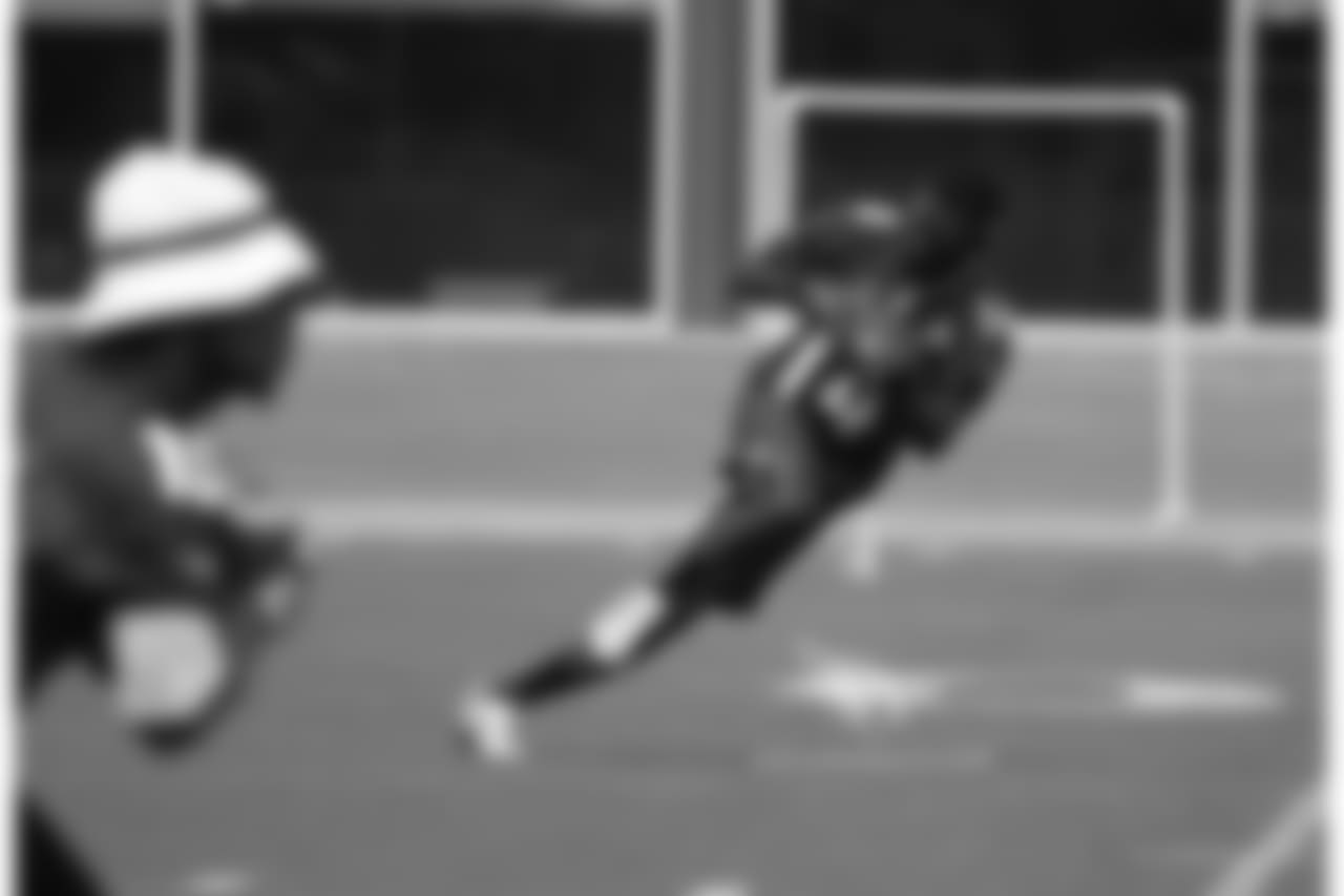 WR J.J. Nelson