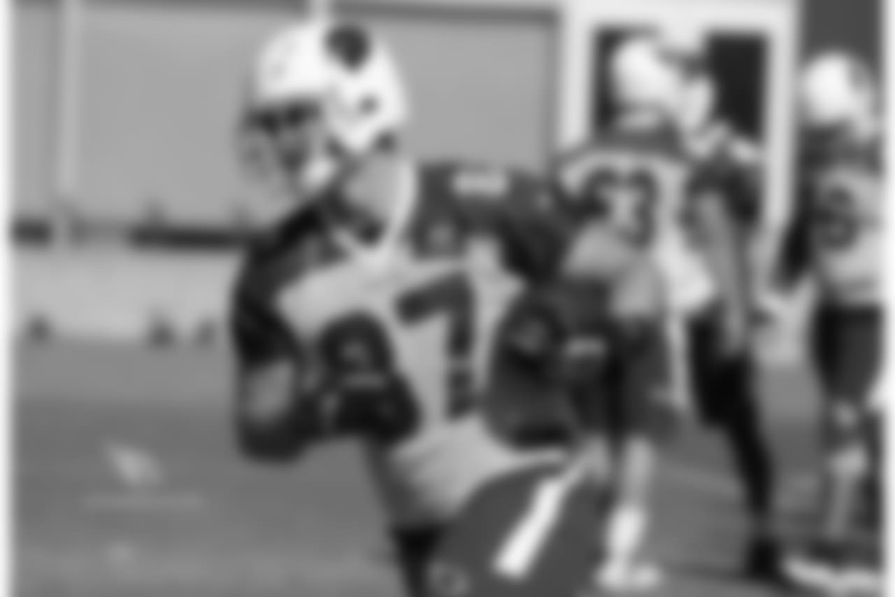 TE Troy Niklas