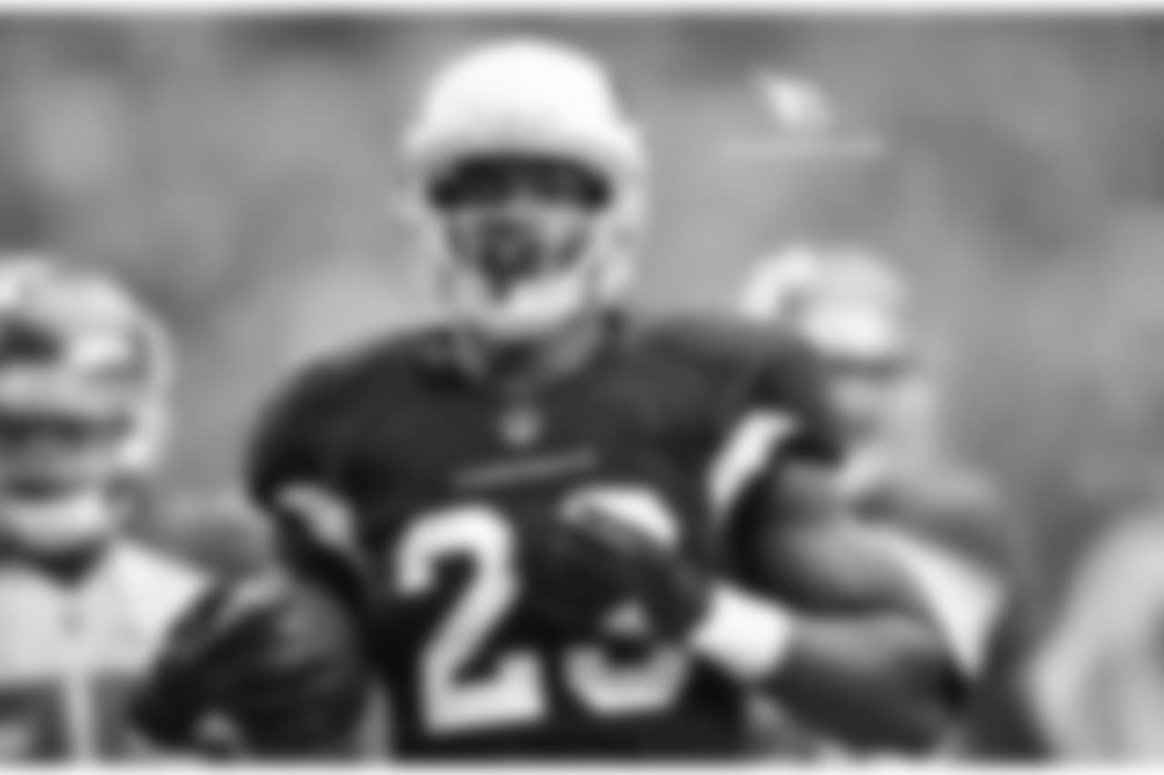Adrian Peterson's 27-yard TD run vs. the Bucs