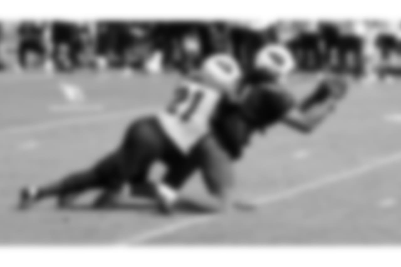 WR Larry Fitzgerald catches a tipped pass with CB Patick Peterson in coverage
