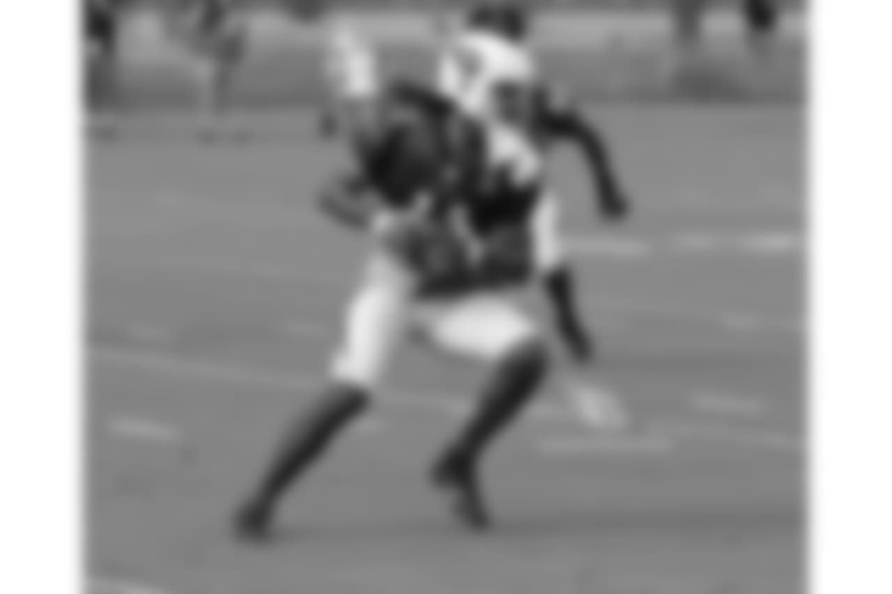 WR Larry Fitzgerald