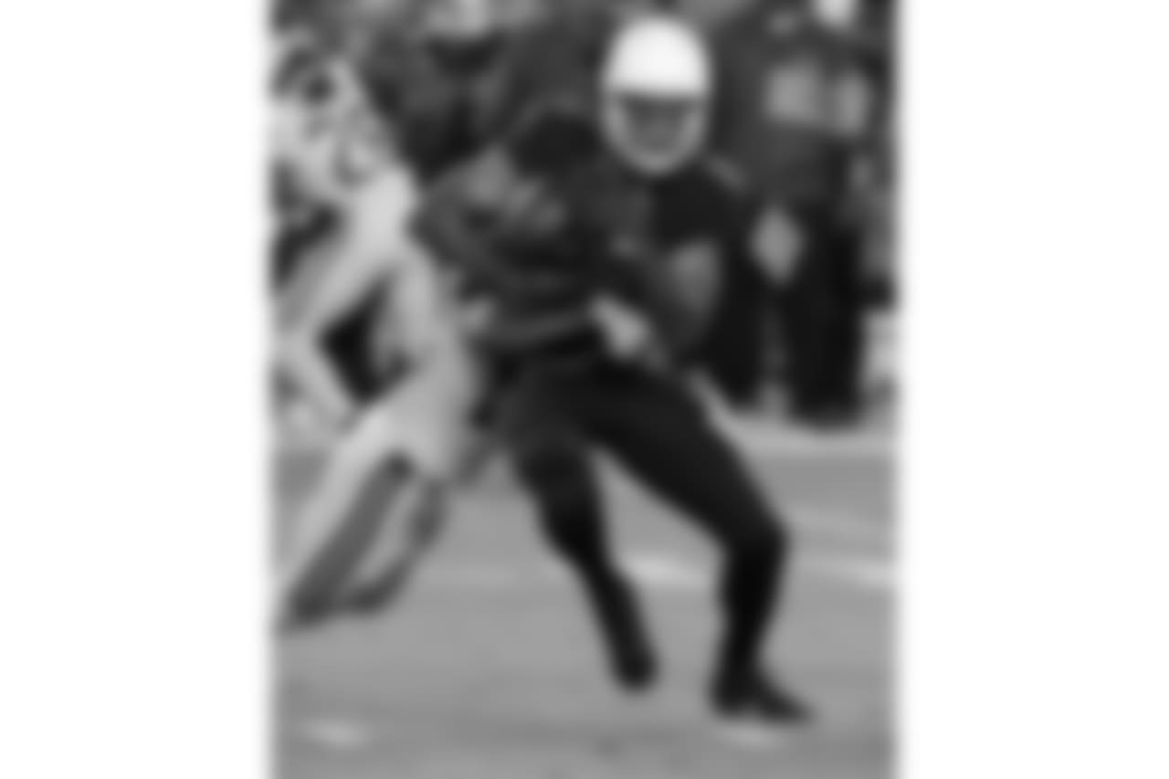 WR Larry Fitzgerald on the catch