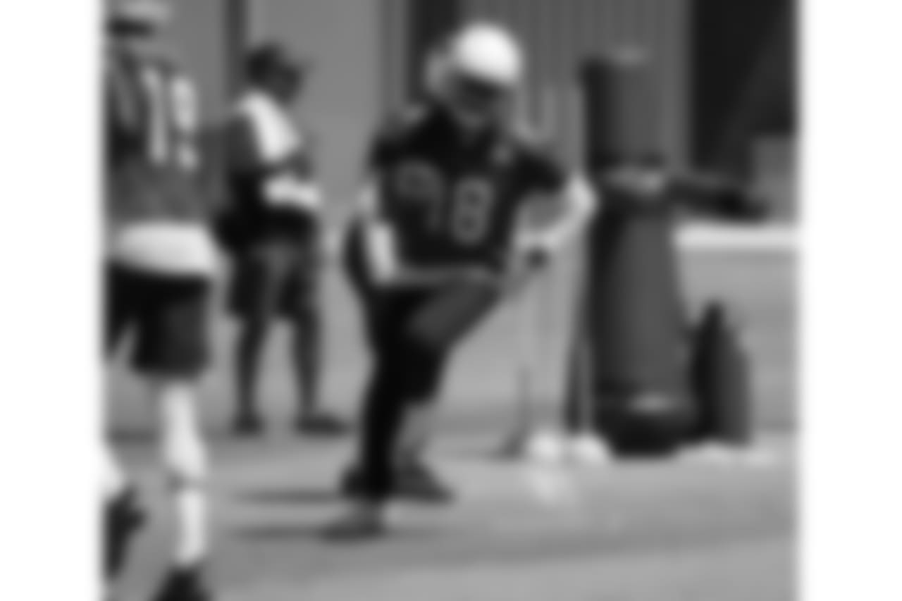 WR Brice Butler