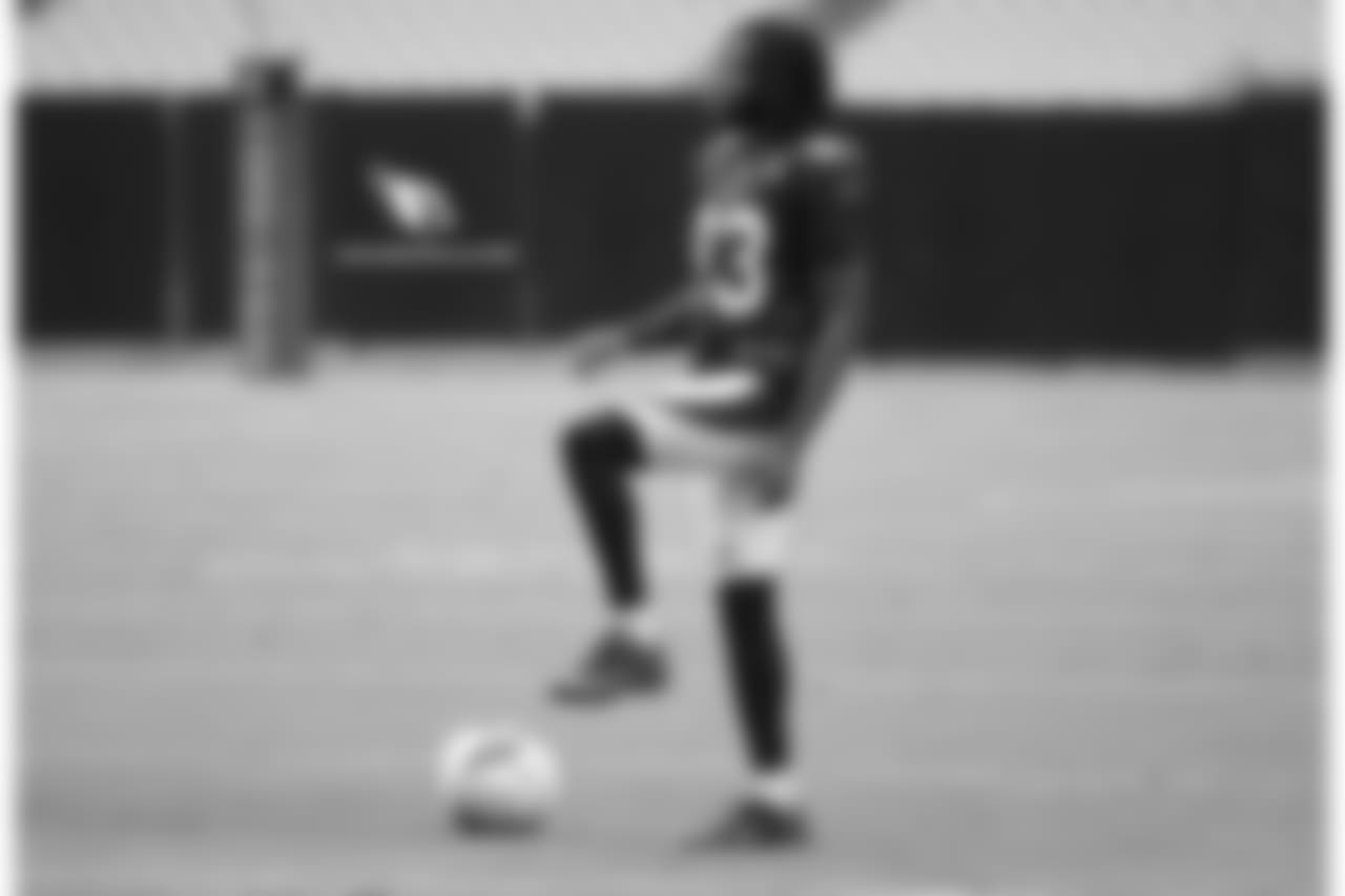 WR Aaron Dobson