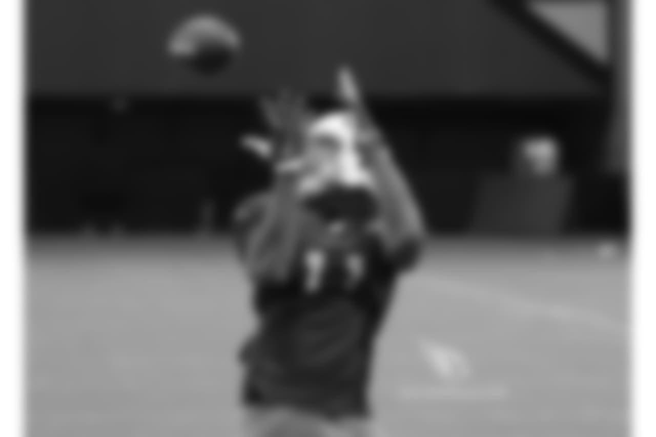 WR Larry Fitzgerald