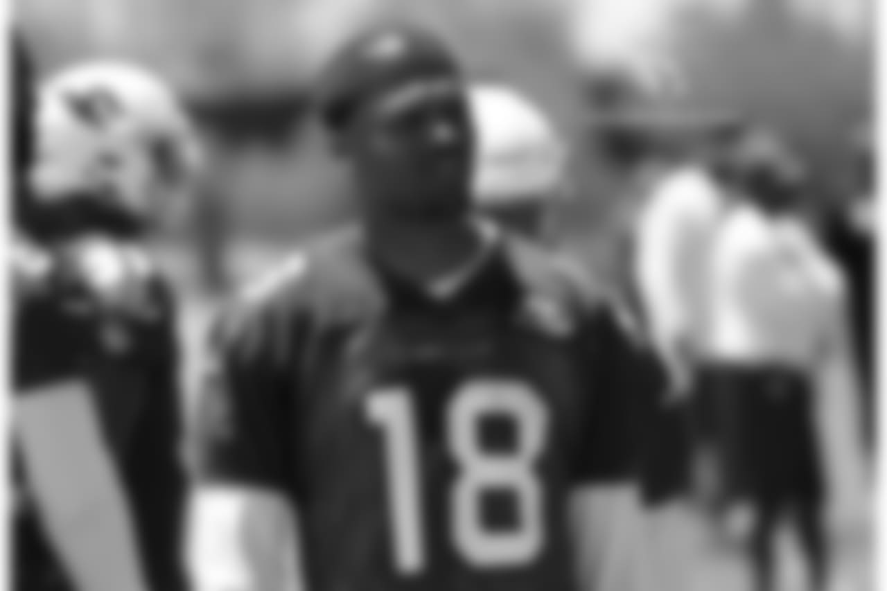 WR Brice Butler