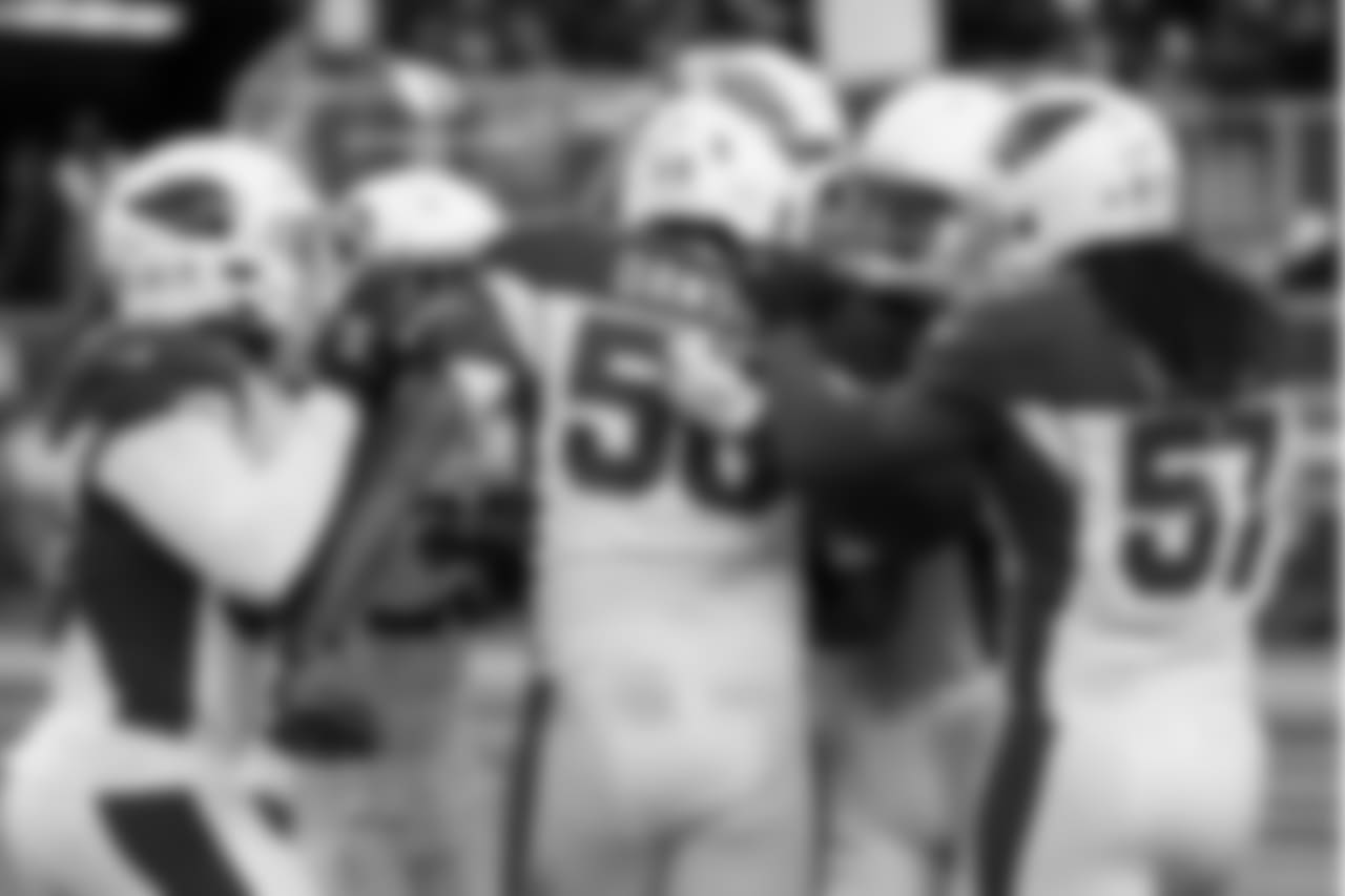 LB Karlos Dansby with the game-clinching pick against the 49ers