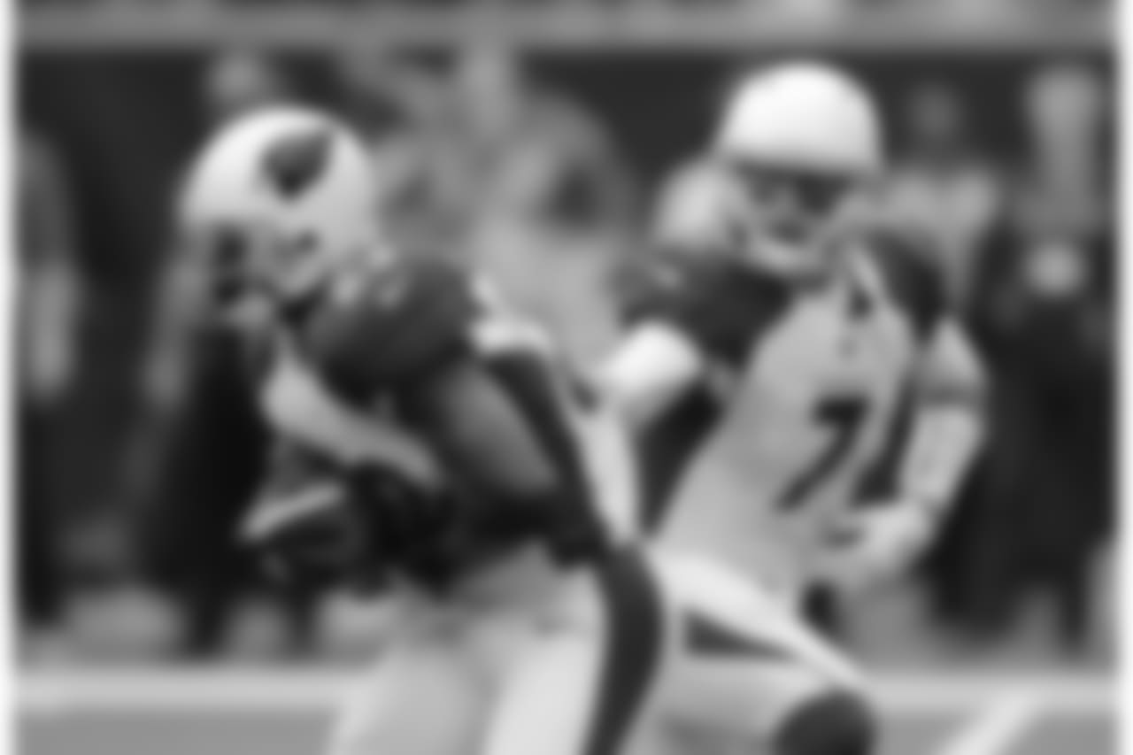 RB Adrian Peterson