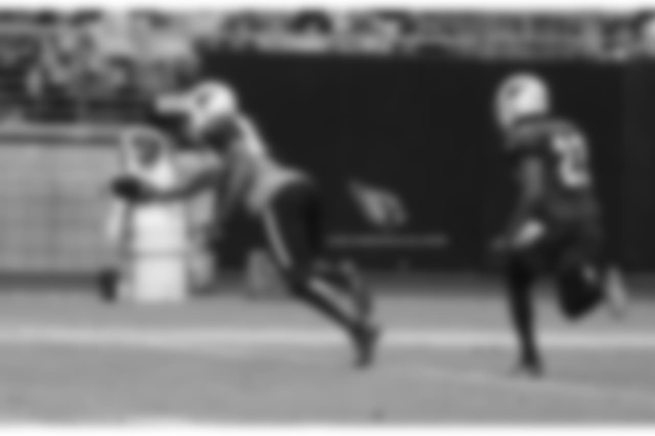 WR Larry Fitzgerald with the diving catch