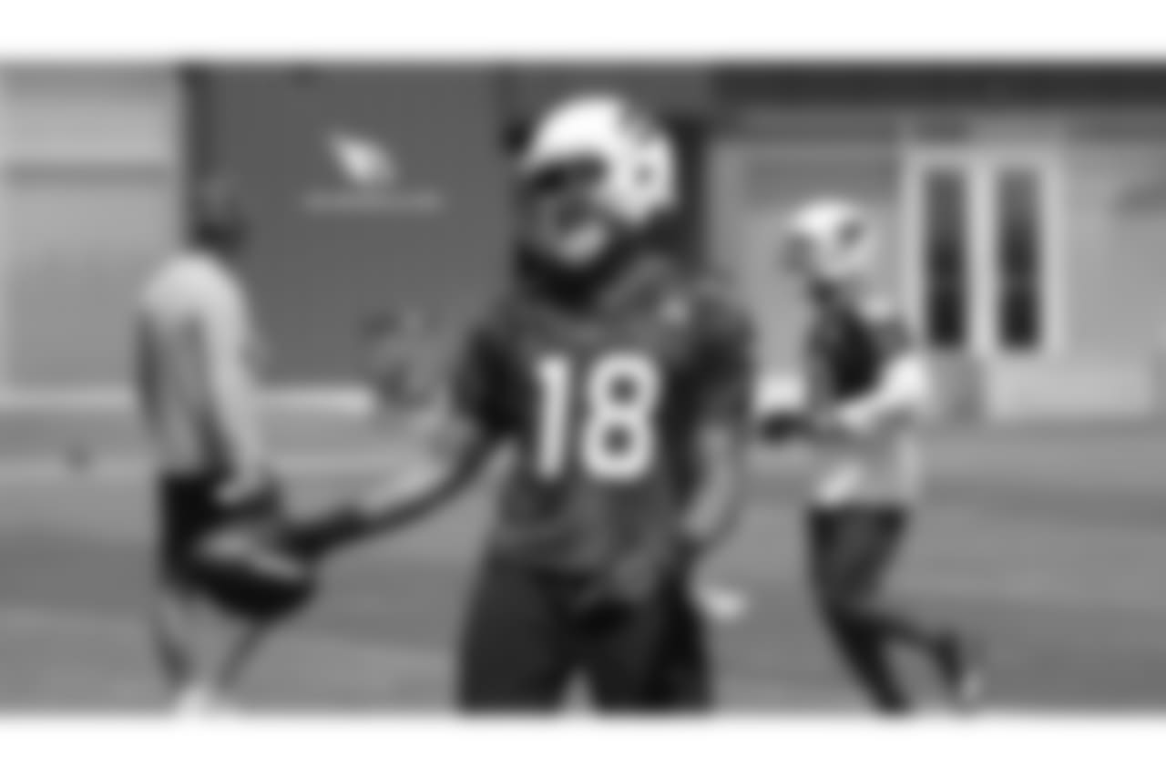 WR Brice Butler