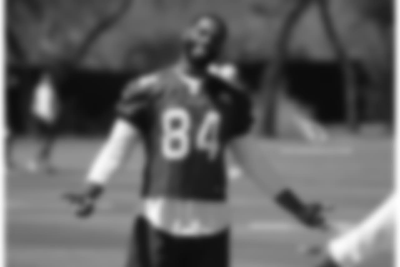 TE Jermaine Gresham