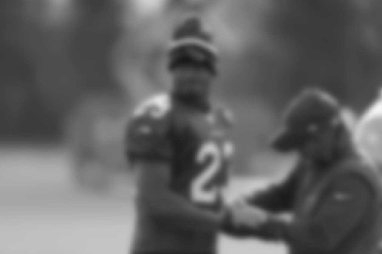 RB Adrian Peterson