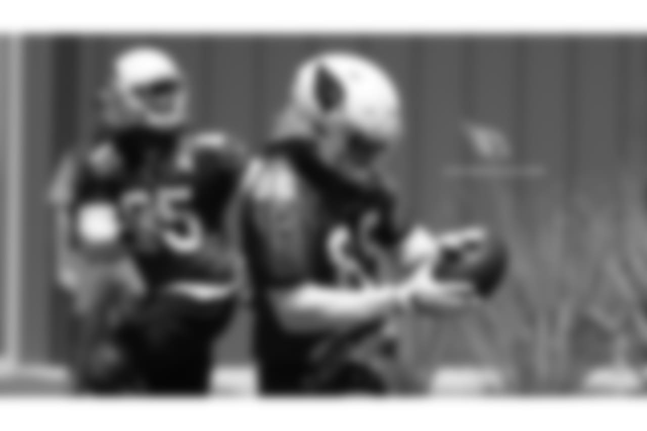 TE Ricky Seals-Jones