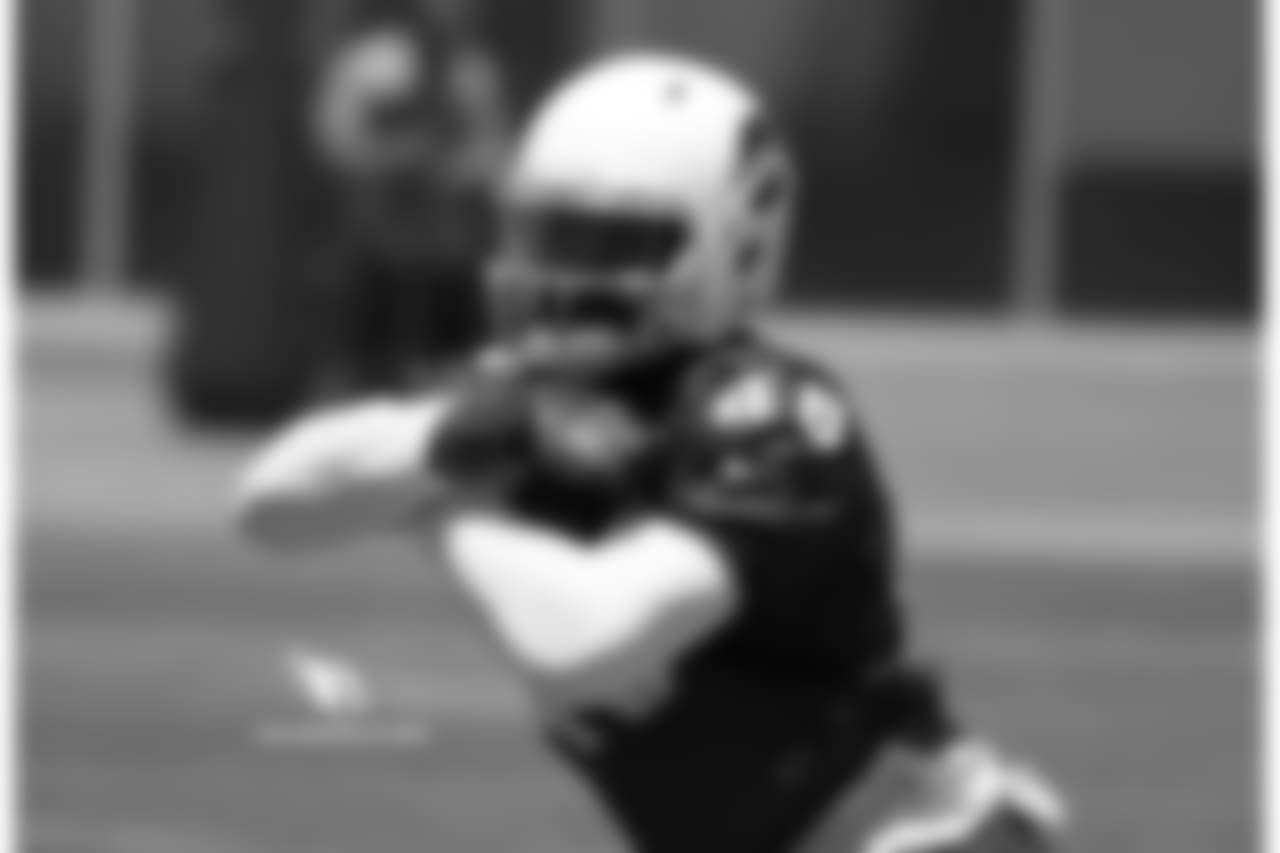 FB Derrick Coleman