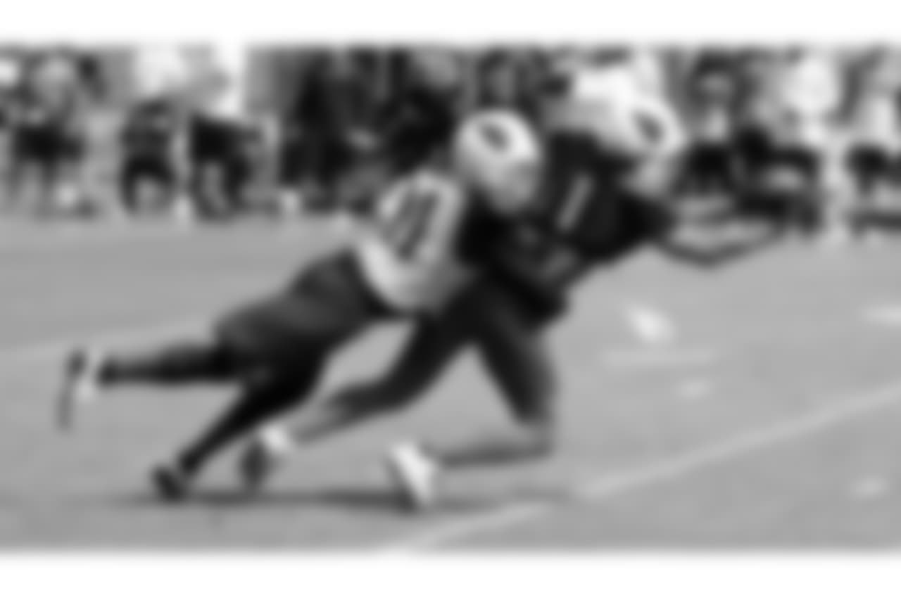 WR Larry Fitzgerald catches a tipped pass with CB Patick Peterson in coverage