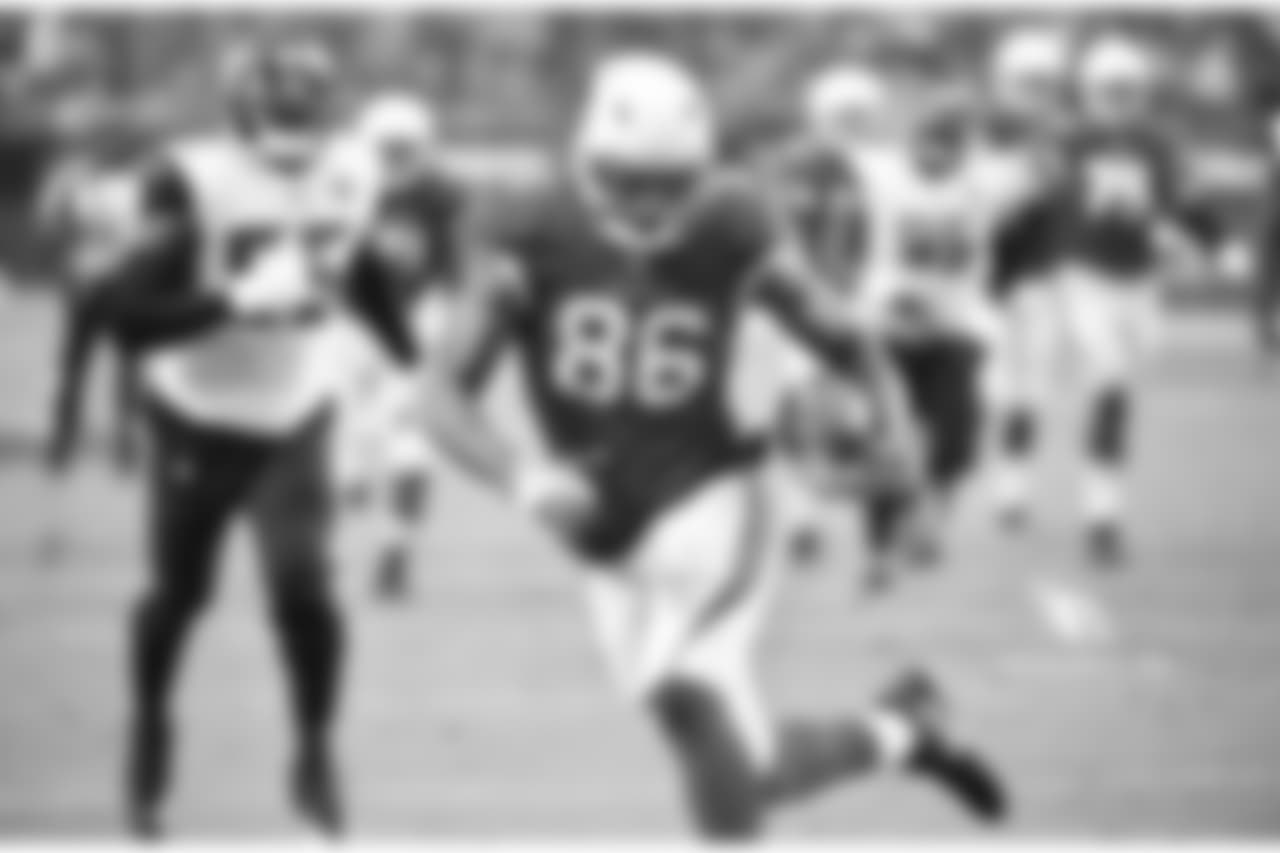 TE Ricky Seals-Jones: 18 points
