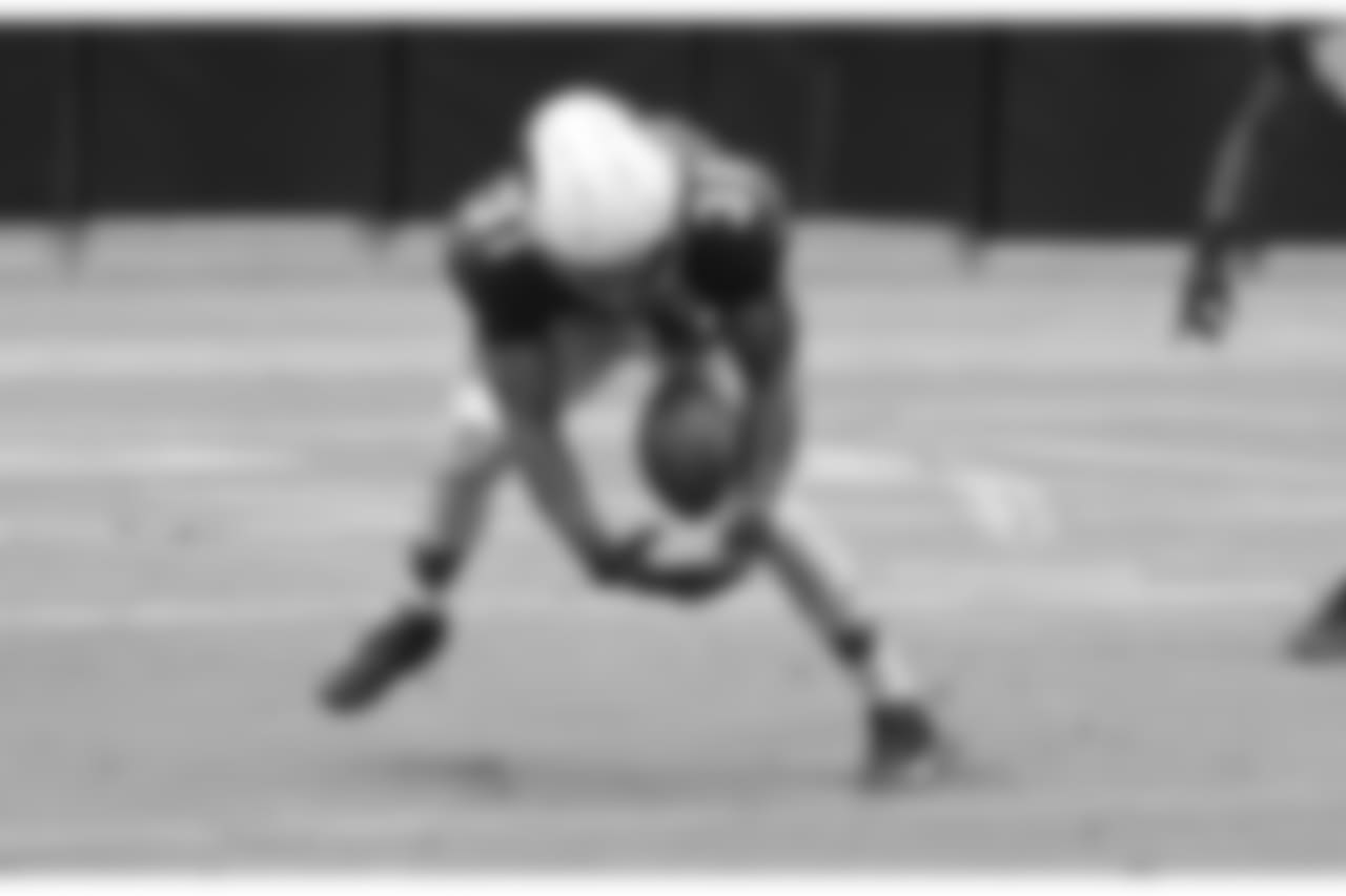 RB David Johnson makes the catch