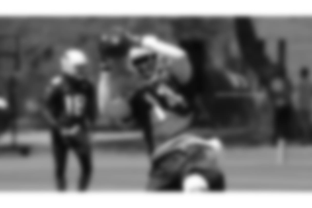 WR J.J. Nelson