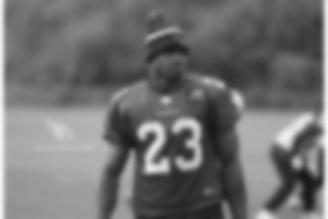 RB Adrian Peterson