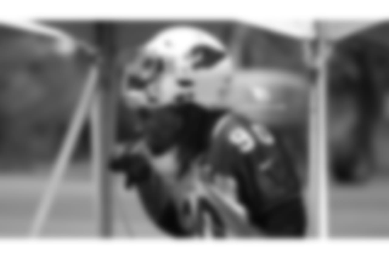DL Robert Nkemdiche