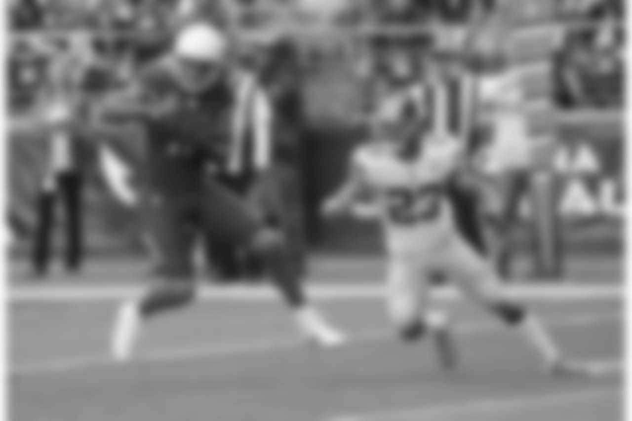 WR Larry Fitzgerald