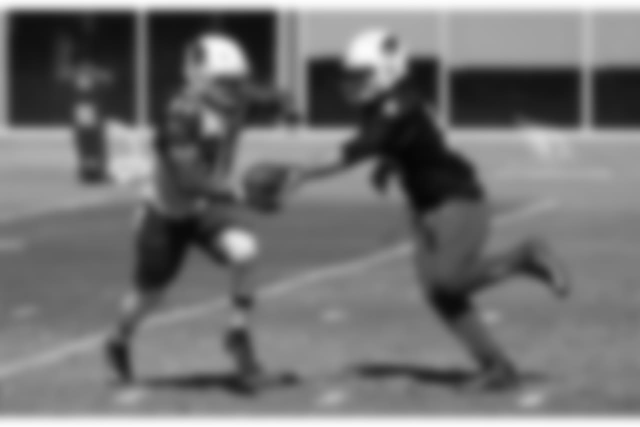 RB David Johnson gets the handoff from QB Drew Stanton
