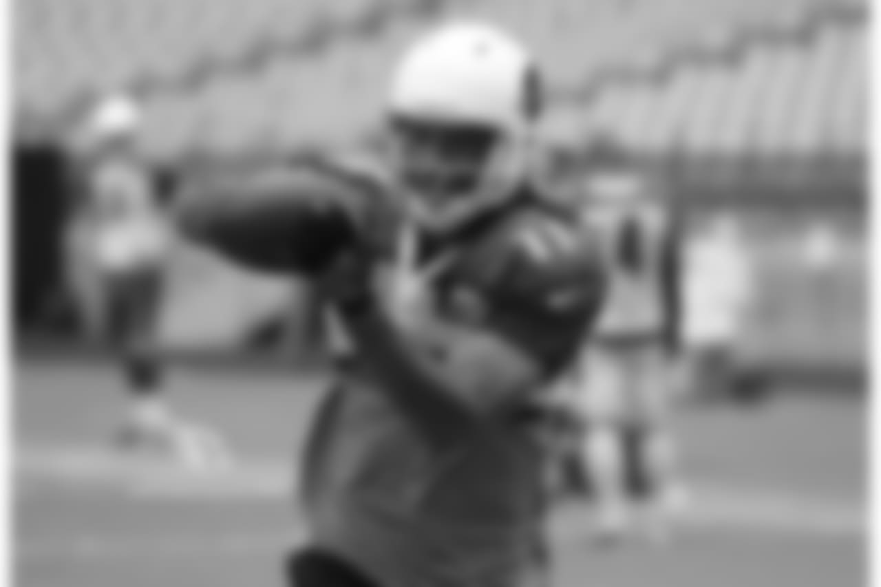 WR Larry Fitzgerald