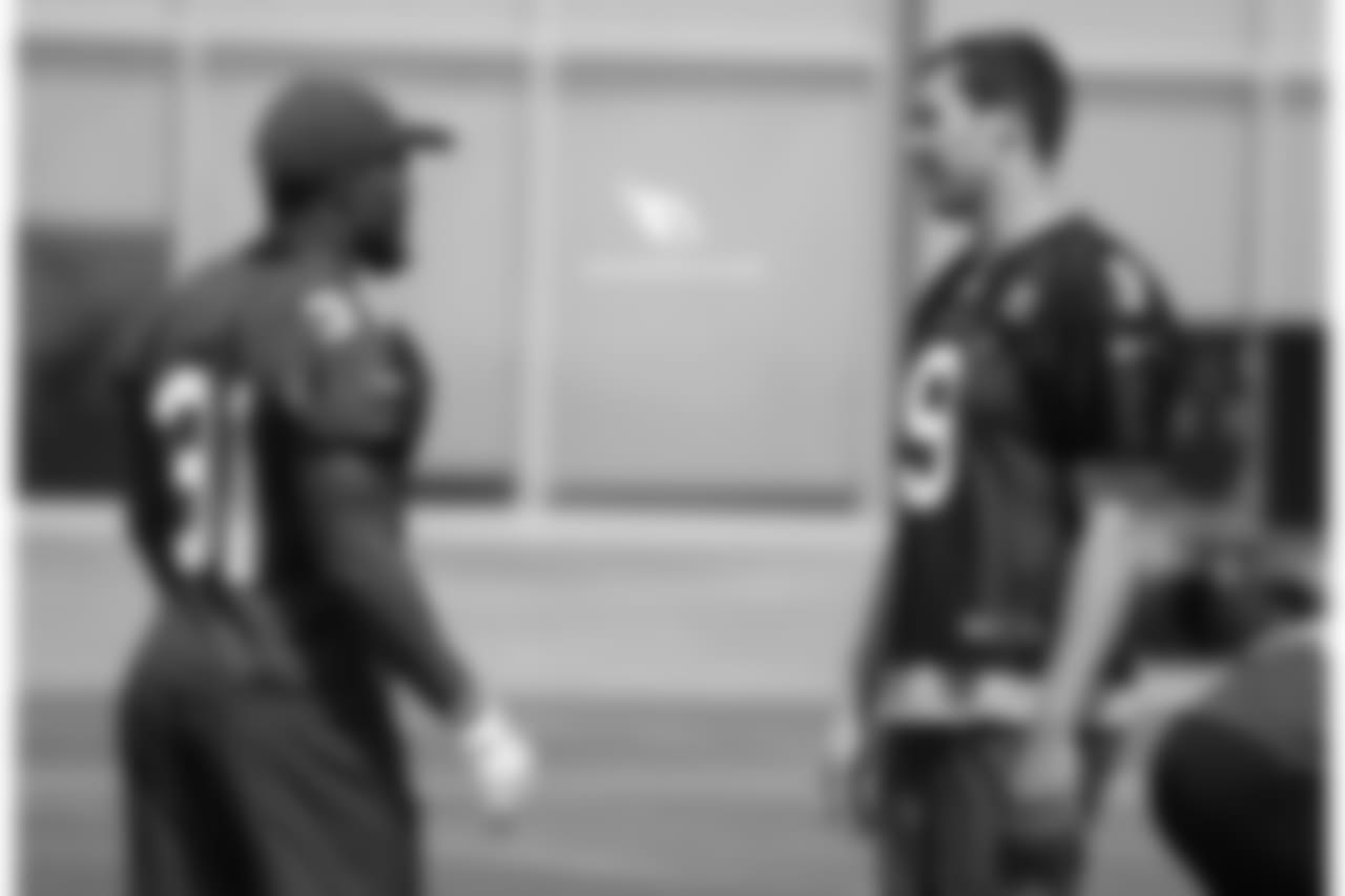 RB David Johnson (left) and QB Sam Bradford