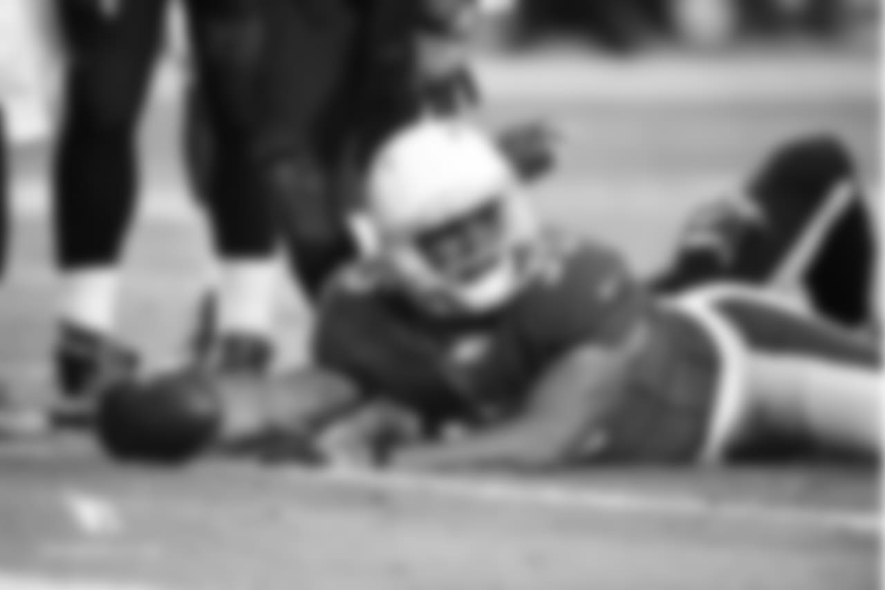 RB Elijhaa Penny: 31 carries, 124 yards, 2 TD
